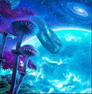Copertina di Psytrance 👽